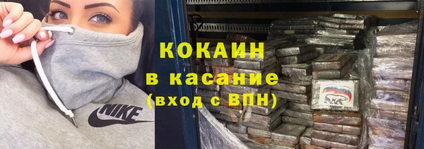 винт Алзамай